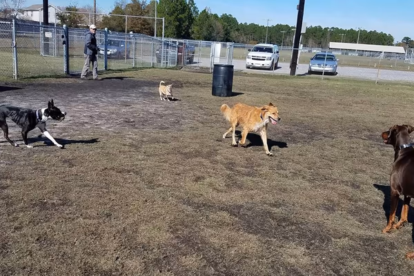 Pixie’s Memorial Dog Park photo 1